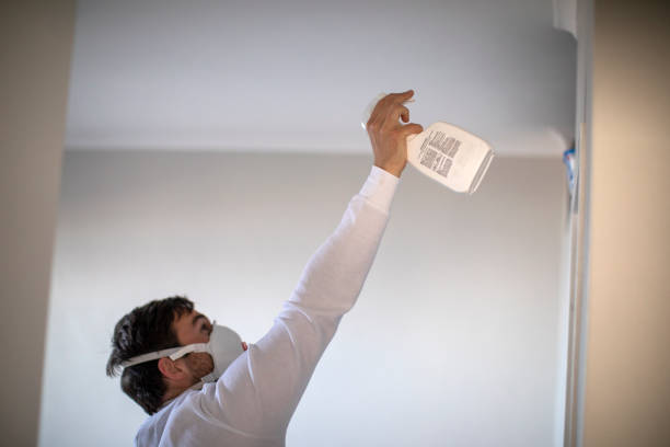 Best Mold Damage Repair  in Lafayette, TN