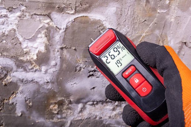 Best Crawl Space Mold Removal  in Lafayette, TN