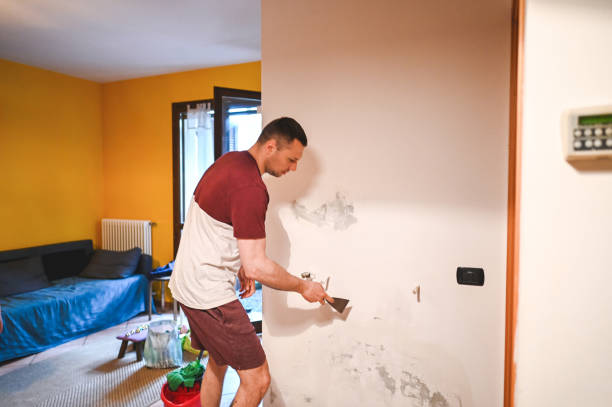 Best Mold Damage Repair  in Lafayette, TN